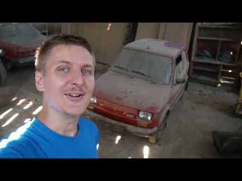 Kispolskit a pajtából!