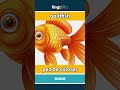 goldfish - pez de colores video thumbnail