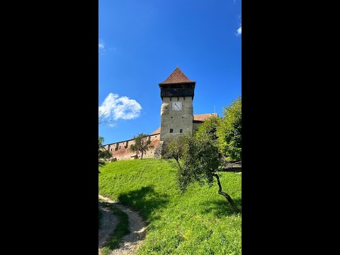 Biserica fortificata Alma Vii .