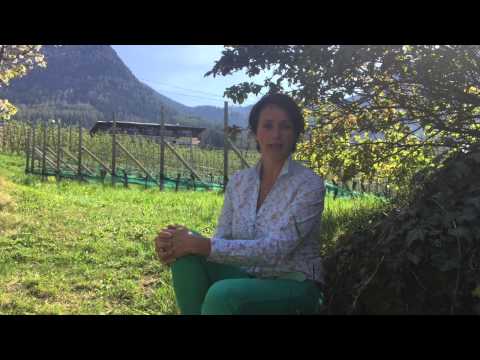 Passion Südtirol-Weinwissen I mit Elisabeth Pföstl