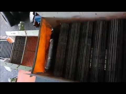 Kartoffelsortieranlage Fortschritt