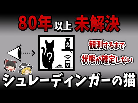 科学者たちはシュレーディンガーの猫を救う方法をついに知る