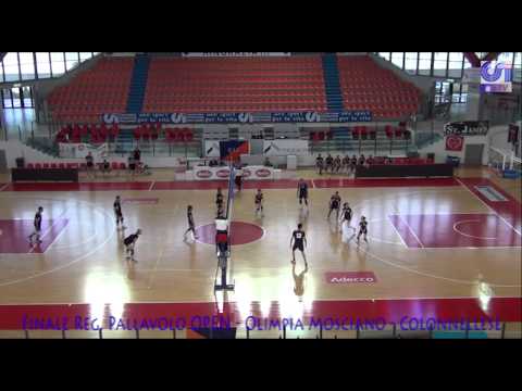 Pallavolo Mista CSI Finale Regionale: OlimpiaMosciano - PolisportivaColonnellese HD