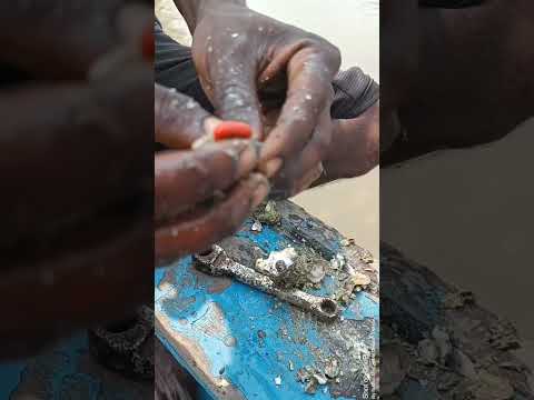 Red coral stone & Star opal stone