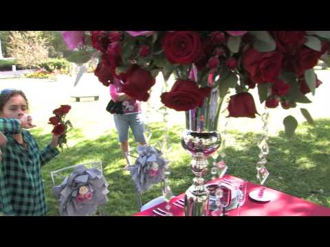 Partyscape: The Mirrored Effect at Meson Sabika