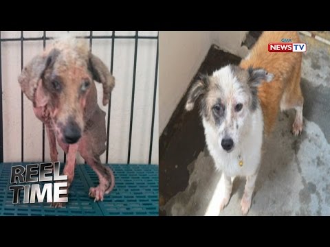Diet para sa isang tao tiyan Marya para sa pagbaba ng timbang