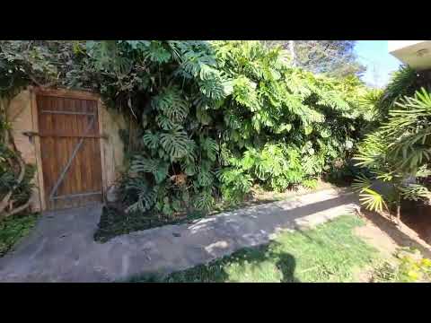 Chácara Monte Alegre / São Paulo
