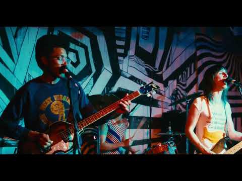 The Lemon Twigs - Hold Me Tight (Live at the Cactus Club)