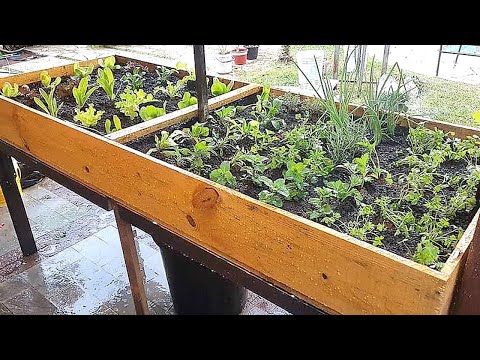 COMO FAZER UMA HORTA SUSPENSA EM CASA (EM 1 MINUTO PASSO A PASSO)