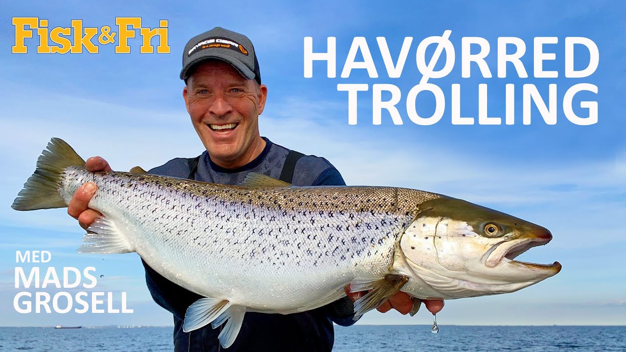 NY VIDEO: HAVØRREDTROLLING MED MADS GROSELL