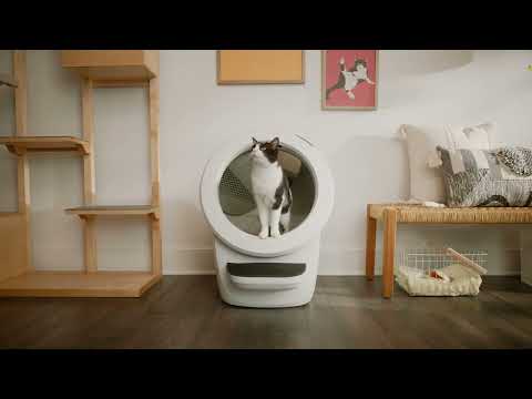 Automaatne isepuhastuv kassiliivakast Wi‑Fi-ga Whisker Litter-Robot 4, must – Video