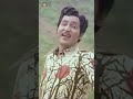 Sobhan Babu Cheppana Song Gorintaaku Telugu Movie Songs Sujatha Youtubeshorts Mango Music