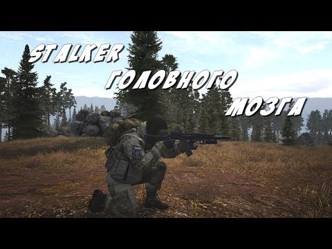 Stalker Online: Сталкеризм - болезнь?!