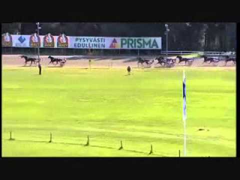 St Michel Ajo 2011 -Rapide Lebel