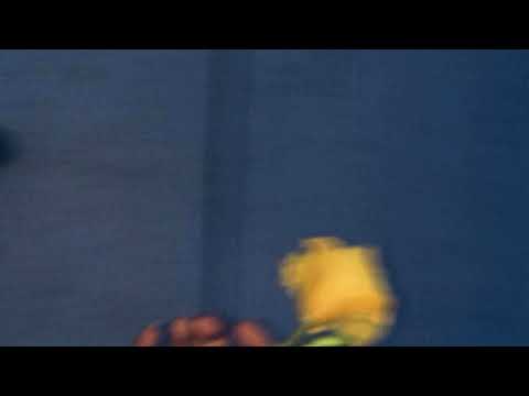 Video thumbnail for In Love Ønce Again
