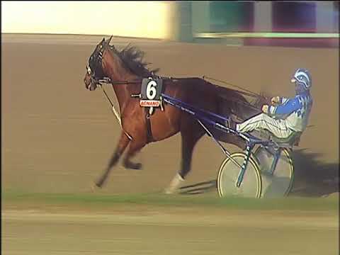 Trotto 08/12/2019 - 2ª corsa