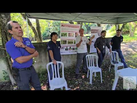 Cacau em São Paulo: Guia Completo de Cultivo e Produção de Chocolate