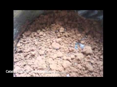 Cazare Brebu Manastirei, Prahova - Cazat.ro