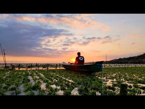Paul Kalkbrenner & Nora En Pure Sunrise DJ Set on the Ocean in Bali | RESONANCE
