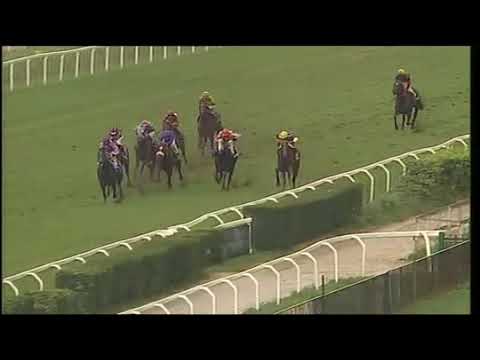 2021.11.14 Premio Rumon (ITA) - Baghed