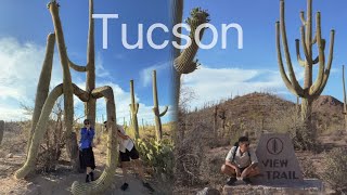 美國Tucson丨尋找巨人柱遊記