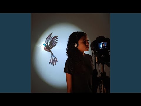 Ijexá Do Cerrado - Banda Brincantantes