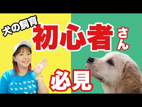 基本的なペットの世話