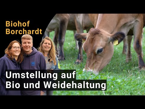 Conversion to organic and pasture grazing with Jersey cows | Demo at the Borchardt family farm