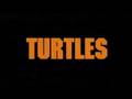 Teenage Mutant Ninja Turtles Trailer 