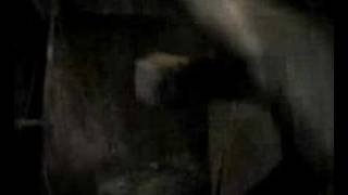 Cradle of filth: &quot;No time to cry&quot;