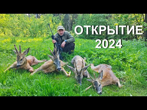 Охота на косулю с подхода. Открытие сезона 2024