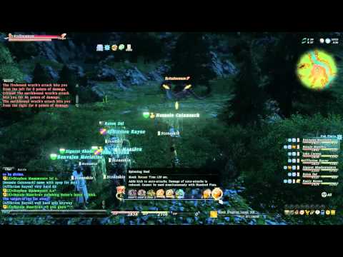 FFXIV - Stollenwurm - DRG level 45 job quest battle