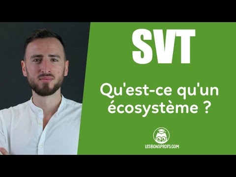 Qu'est-ce qu'un écosystème ?