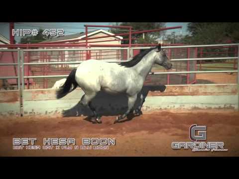 Hip# 452   Bet Hesa Boon