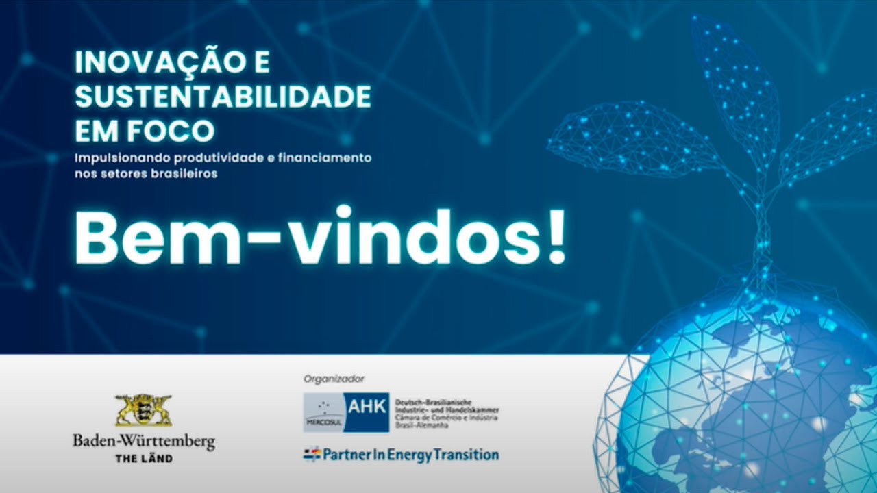 Inovação e Sustent. em foco: Impulsionando Produtividade e Financiamento nos Setores Brasileiros