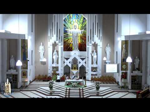 LIVE - Biserica Romano-Catolică  Sfinţii Petru si Paul  Bacau