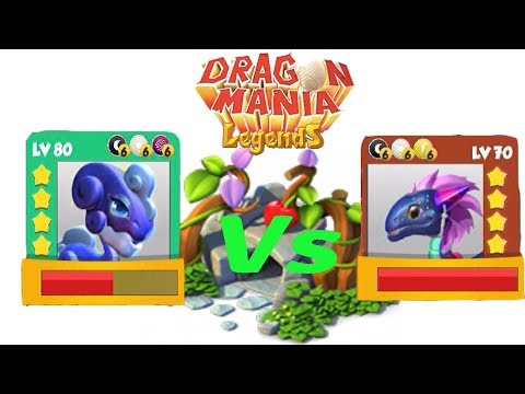 ENCHANT DRAGON BATTIE | STARUST VS HORN LV 80 VS 70 - Dragon Mania Legends | part 907 HD
