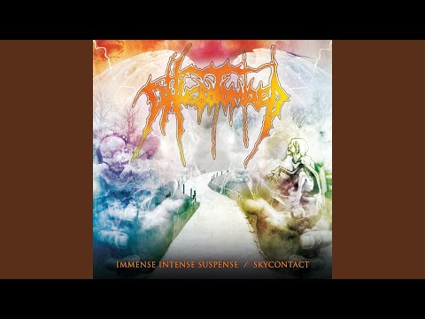 Mellow Are the Reverberations