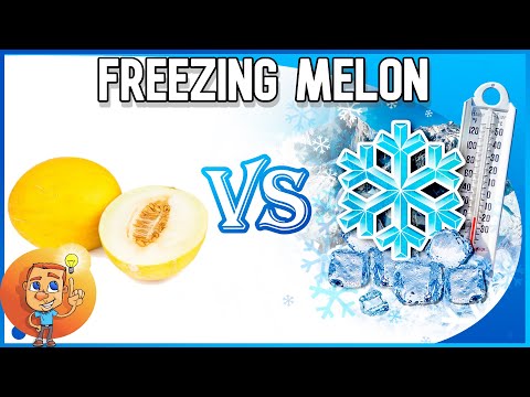 Freezing Melon - Can melon be frozen and then use it? - Melon Storage