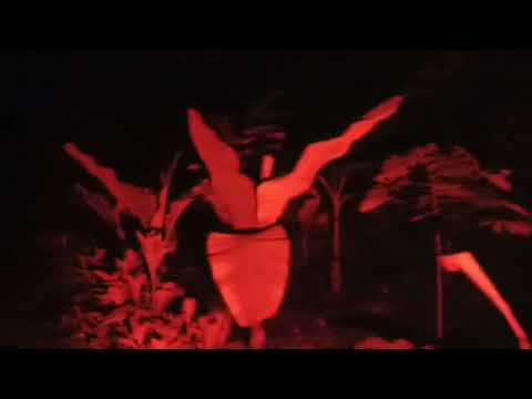 LIVE penelusuran tetap berlanjut lokasi misteri banyak mitos