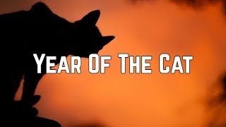 Al Stewart - Year Of The Cat (Lyrics)