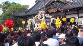 preview picture of video '宇佐崎　宮入り　/　灘のけんか祭り2014-6'