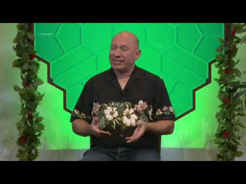 Bashar - origins and bloodlines of the Anunnaki, Enki, Hermes and Thoth