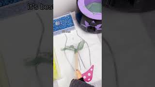 Download lagu Bikini WAX Tiny Hands Tips 👙 mp3