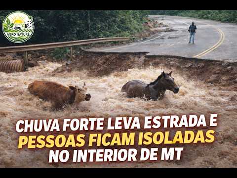 CHUVAS FORTES levam a estrada ! 🌧️VEJA o estrago? 😨 #zonarural  #DesastreNatural #agronature