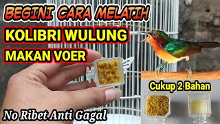 Download lagu How to Quickly Train the Black-rumped Shama to Eat Bird Feed!! mp3 Download lagu How to Quickly Train the Black-rumped Shama to Eat Bird Feed!! mp3