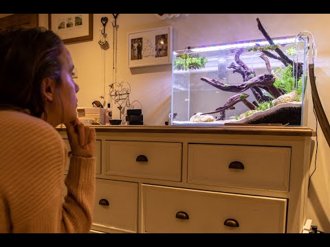 16 Gallon Waterbox - New set up