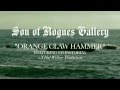 Son of Rogues Gallery: Pirate Ballads, Sea Songs ...