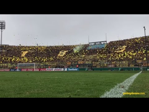 "PEÑAROL - BARRA AMSTERDAM | "BOLSO PECHO FRÍO, MIRA QUE DISTINTOS SOMOS" (Sub: ES/EN)" Barra: Barra Amsterdam • Club: Peñarol