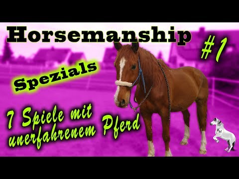 [Horsemanship] 7 Spiele mit unerfahrenem Pferd #1